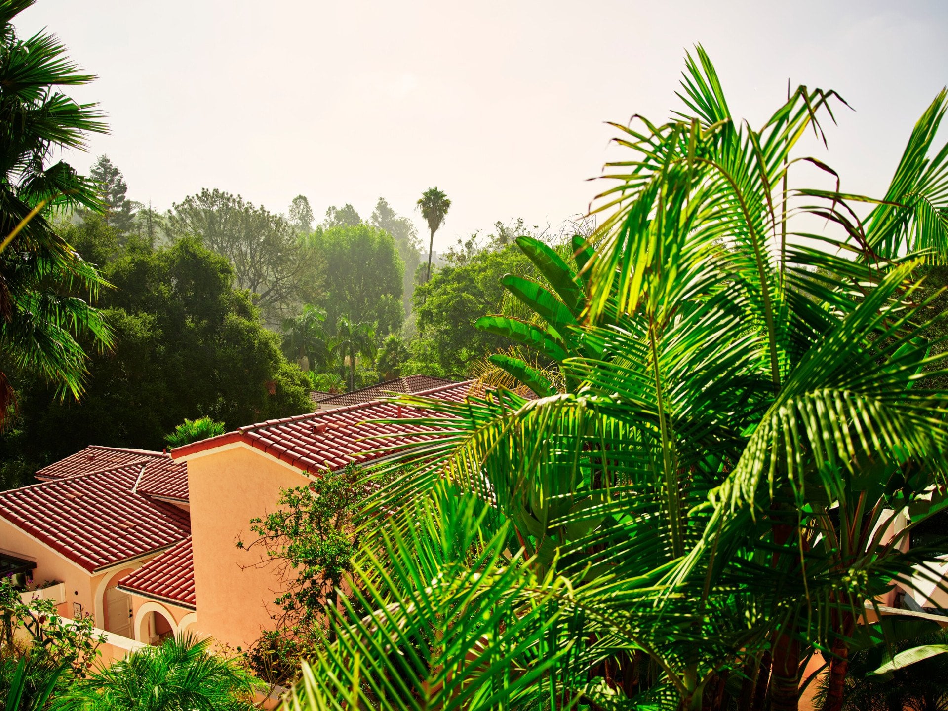 Canyon views of greenery and rooftops at Hotel Bel-Air