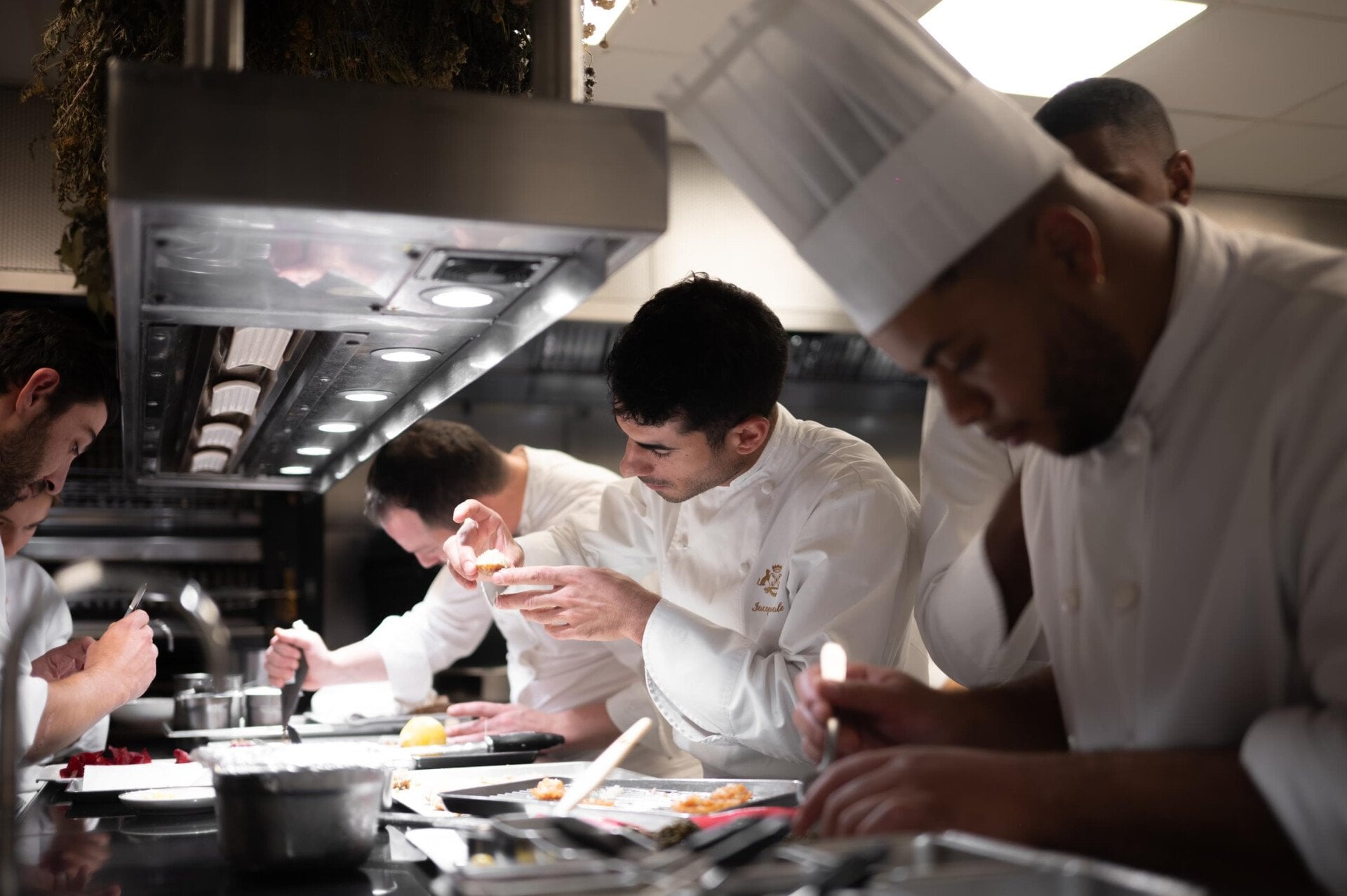 It is a photo of chefs very focused on the dressage of their plates in the kitchen, at Le Meurice, Paris. 