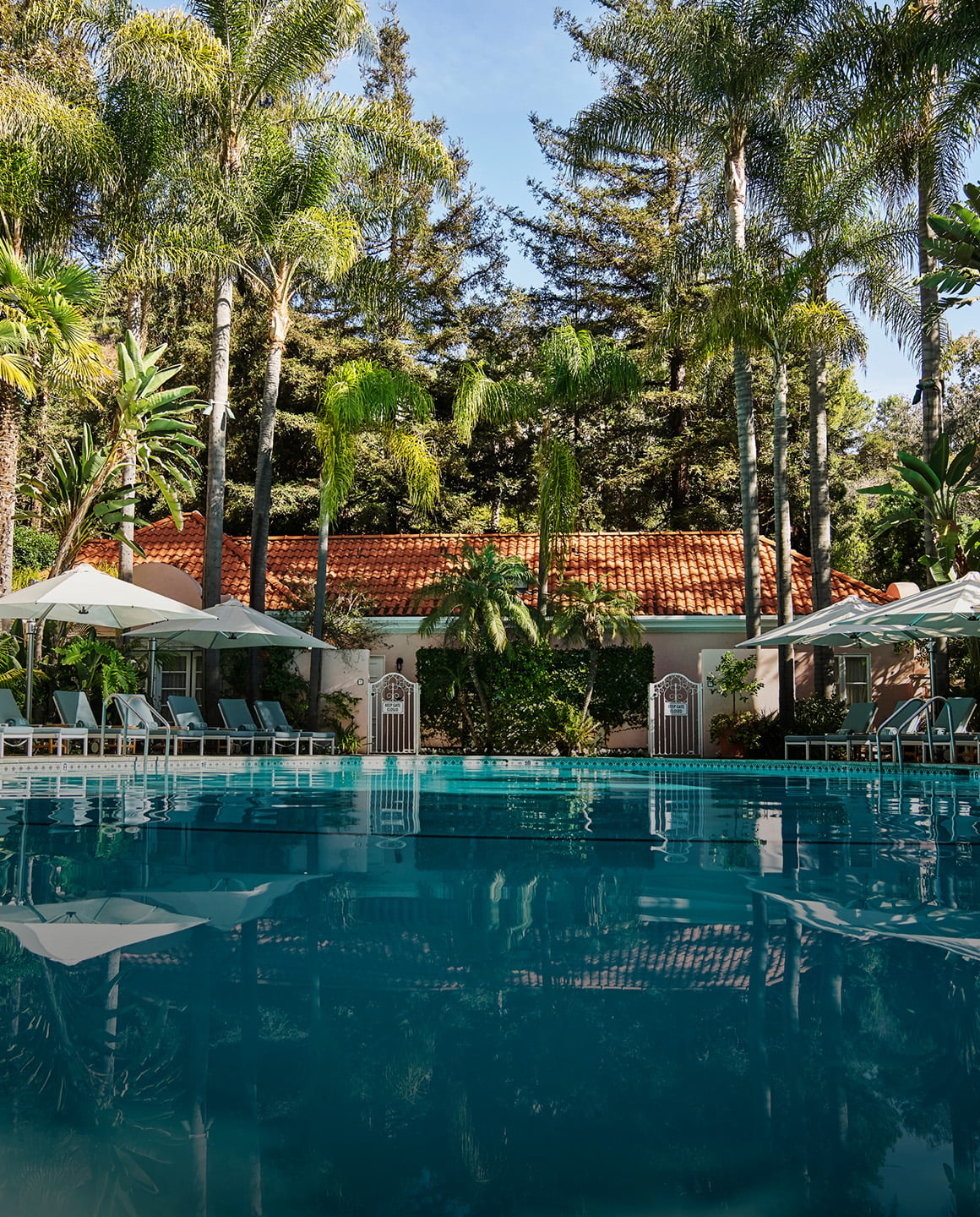 Pool at Hotel Bel-Air