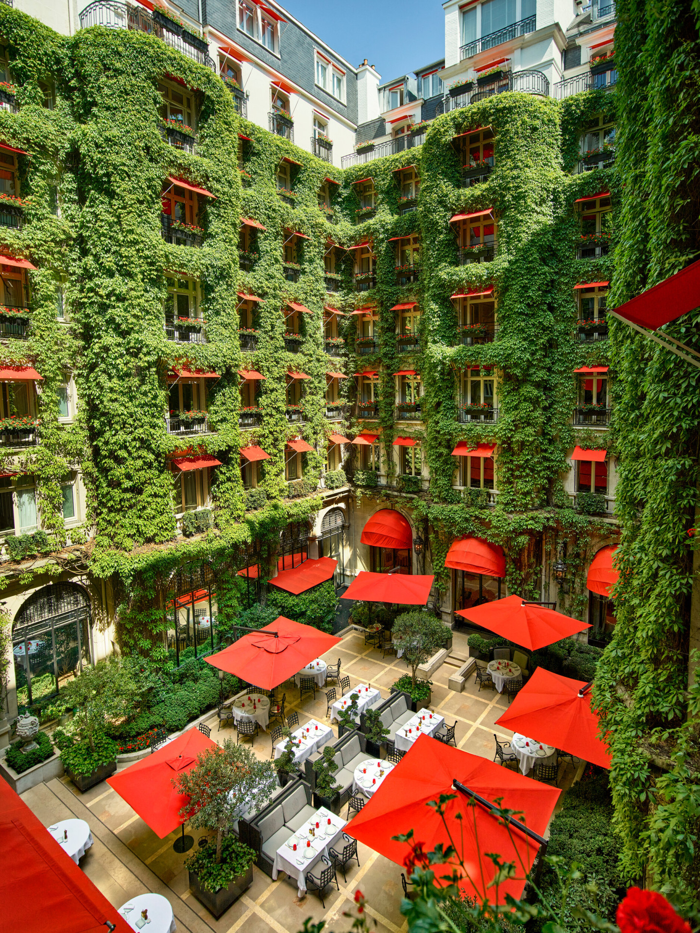 	La Cour Jardin Courtyard green vine, red awnings and parasols seen from a room window, at Hotel Plaza Athénée, Paris